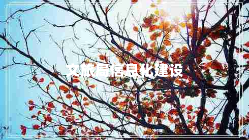 文旅局信息化建設(shè)