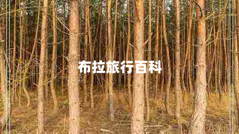 布拉旅行百科
