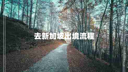 去新加坡出境流程