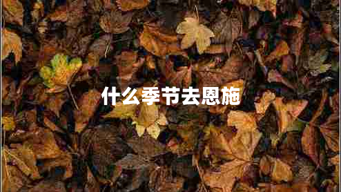 什么季節(jié)去恩施