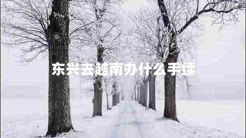 東興去越南辦什么手續(xù) 東興去越南辦什么手續(xù)