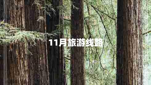 11月旅游線路