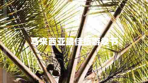 馬來西亞最佳旅游季節(jié)