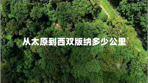 從太原到西雙版納多少公里