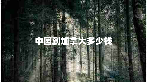 中國到加拿大多少錢