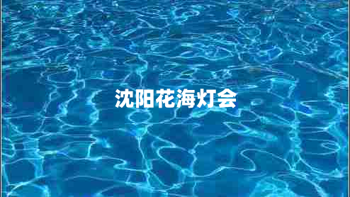 沈陽花海燈會(huì) 沈陽花海燈會(huì)