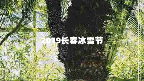 2019長(zhǎng)春冰雪節(jié) 2019長(zhǎng)春冰雪節(jié)