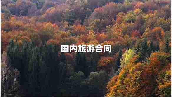 國內(nèi)旅游合同 國內(nèi)旅游合同