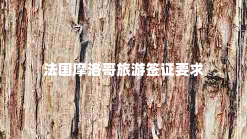 法國摩洛哥旅游簽證要求