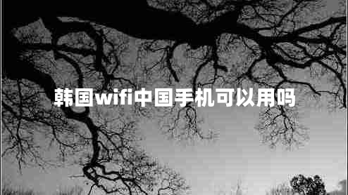 韓國wifi中國手機可以用嗎 韓國wifi中國手機可以用嗎