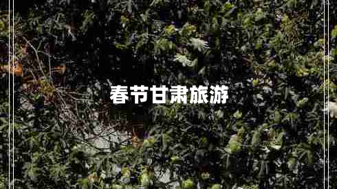 春節(jié)甘肅旅游