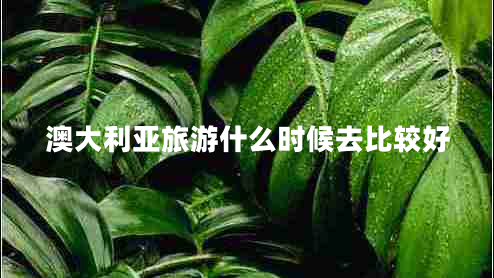 澳大利亞旅游什么時候去比較好 澳大利亞旅游什么時候去比較好