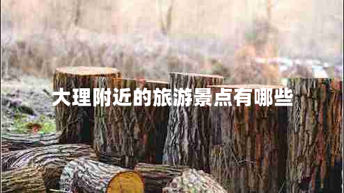 大理附近的旅游景點有哪些 大理附近的旅游景點有哪些