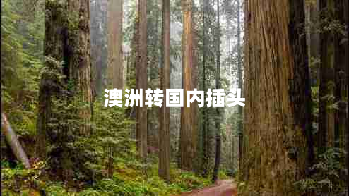 澳洲轉(zhuǎn)國內(nèi)插頭