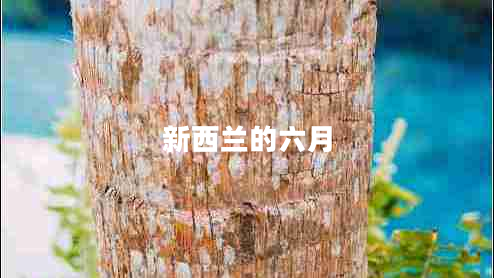 新西蘭的六月 新西蘭的六月