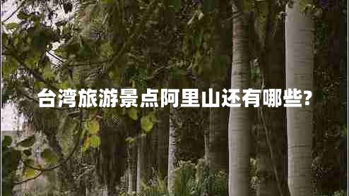 臺灣旅游景點(diǎn)阿里山還有哪些?