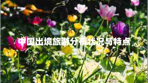 中國(guó)出境旅游分布狀況與特點(diǎn)