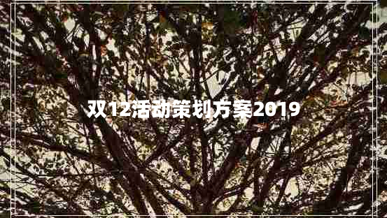 雙12活動(dòng)策劃方案2019