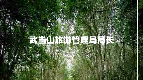 武當(dāng)山旅游管理局局長 武當(dāng)山旅游管理局局長