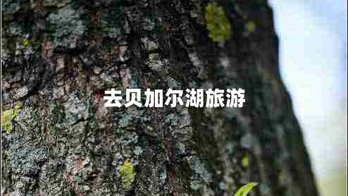 去貝加爾湖旅游 去貝加爾湖旅游