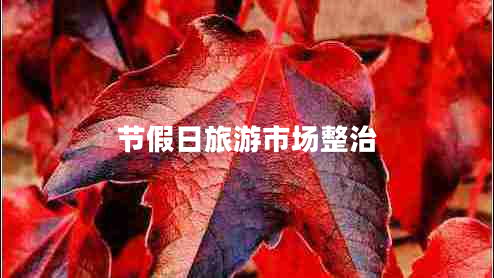 節(jié)假日旅游市場(chǎng)整治