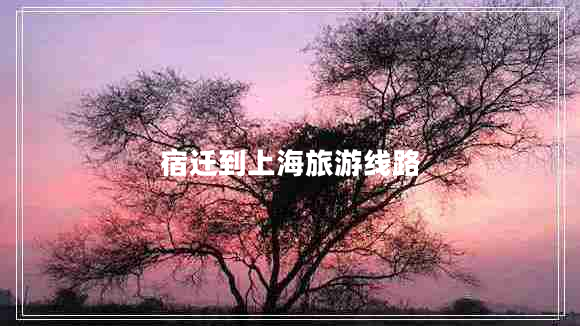 宿遷到上海旅游線路