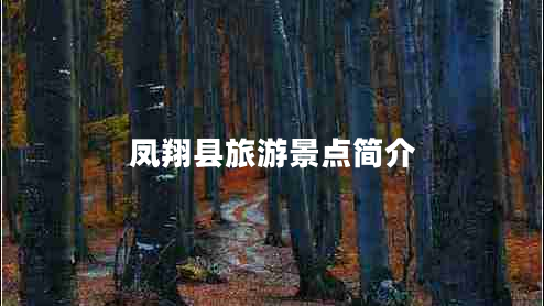 鳳翔縣旅游景點(diǎn)簡(jiǎn)介