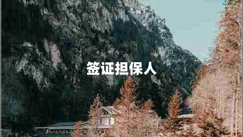 簽證擔(dān)保人