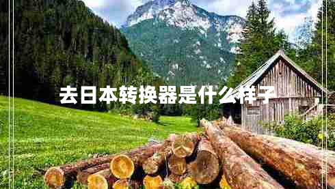 去日本轉(zhuǎn)換器是什么樣子