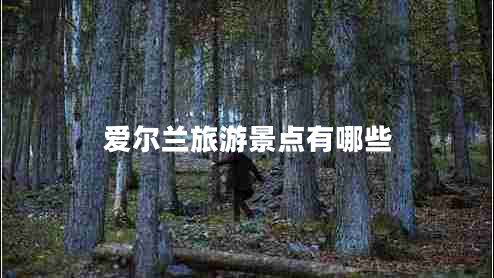 愛爾蘭旅游景點(diǎn)有哪些 愛爾蘭旅游景點(diǎn)有哪些