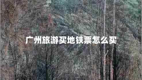 廣州旅游買地鐵票怎么買
