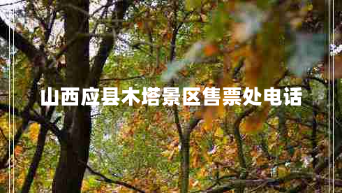 山西應(yīng)縣木塔景區(qū)售票處電話