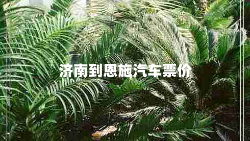 濟(jì)南到恩施汽車票價(jià)