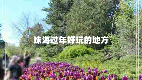 珠海過年好玩的地方