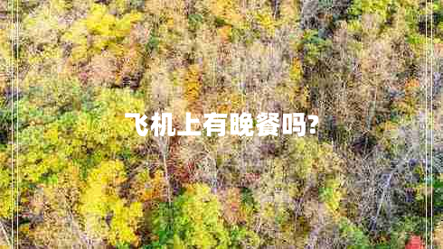 飛機(jī)上有晚餐嗎?