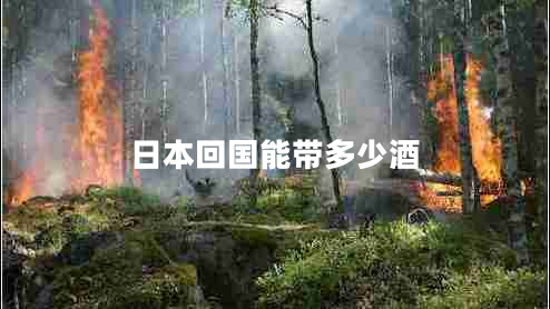 日本回國(guó)能帶多少酒 日本回國(guó)能帶多少酒