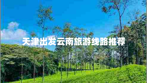 天津出發(fā)云南旅游線路推薦