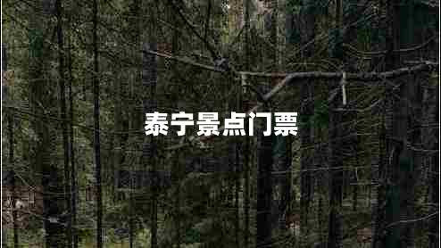 泰寧景點門票 泰寧景點門票