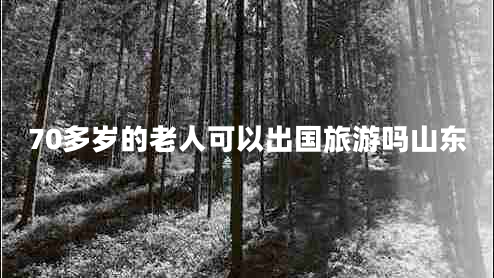 70多歲的老人可以出國(guó)旅游嗎山東