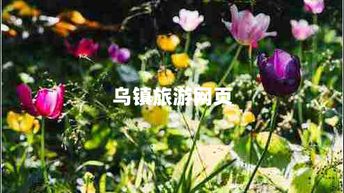 烏鎮(zhèn)旅游網(wǎng)頁