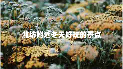 濰坊附近冬天好玩的景點(diǎn)