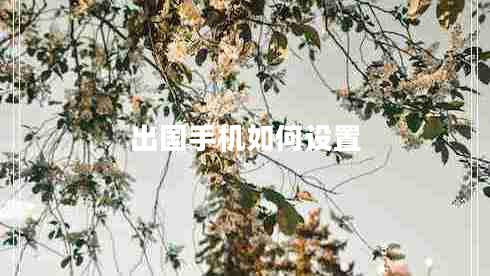 出國手機(jī)如何設(shè)置 出國手機(jī)如何設(shè)置