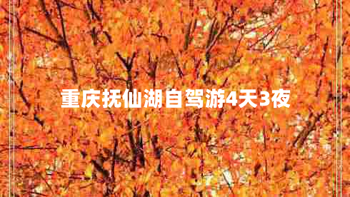 重慶撫仙湖自駕游4天3夜