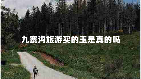 九寨溝旅游買的玉是真的嗎 九寨溝旅游買的玉是真的嗎