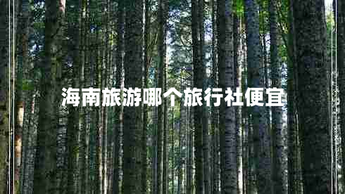 海南旅游哪個旅行社便宜 海南旅游哪個旅行社便宜