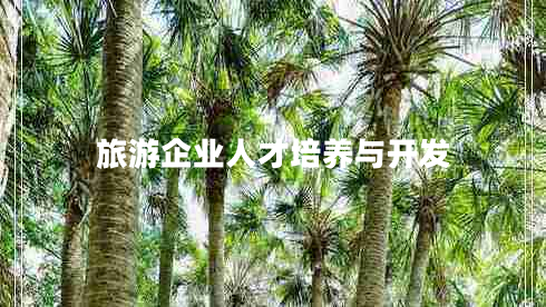 旅游企業(yè)人才培養(yǎng)與開發(fā)