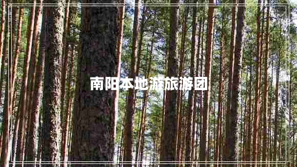 南陽(yáng)本地游旅游團(tuán)