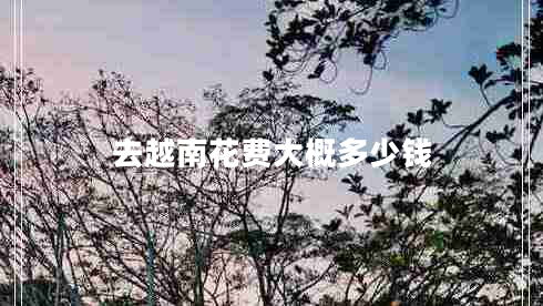 去越南花費(fèi)大概多少錢 去越南花費(fèi)大概多少錢