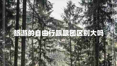旅游的自由行跟跟團(tuán)區(qū)別大嗎