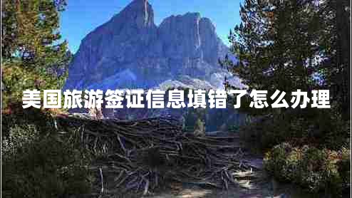 美國(guó)旅游簽證信息填錯(cuò)了怎么辦理